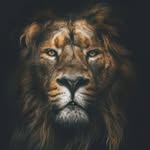 sergiguardiola16 profile picture