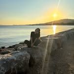 serra_artacc profile picture