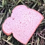 set_foods profile picture