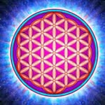 sevdabulbul_stores profile picture