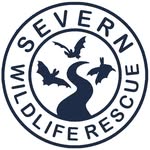 severnwildliferescue profile picture