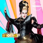 seyonceknows profile picture
