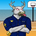 sezgintekinn profile picture