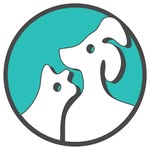 sfanimalshelter profile picture