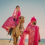 shaadidestinations profile picture