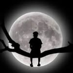 shahfasil5412 profile picture