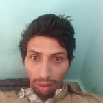 shahrukh32887 profile picture