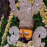 shailinikoushik profile picture