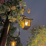 shaista.hafeez79 profile picture