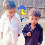 shakeel.7348 profile picture