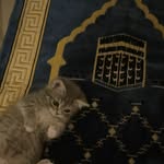 shakiya.here profile picture