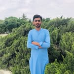shamanalibahrani profile picture