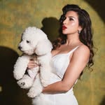 shamasikander profile picture