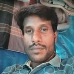 shamim81312 profile picture