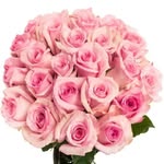 shamsiya.anjum.shama profile picture
