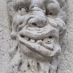 shanewriter profile picture