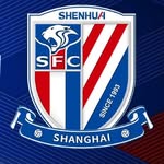 shanghaishenhua profile picture