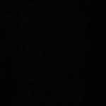 shantefagans profile picture
