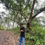 sharangthemrabi profile picture