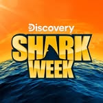sharkweek profile picture
