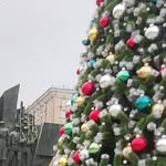 sharofidddinalimov profile picture