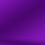 shashaofficial1 profile picture