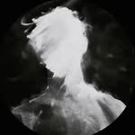 shaurab3400 profile picture