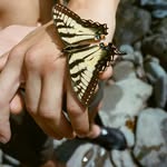 shawnaferreira profile picture