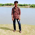 shayad4419 profile picture