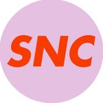 shaynielsencasting profile picture
