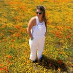 shelbygoldstein profile picture