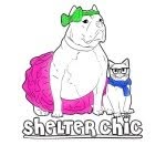 shelterchic profile picture