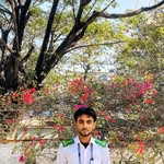 shemul991 profile picture