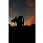 she___photography profile picture
