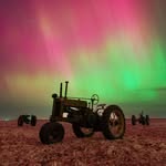 shepp_photos profile picture