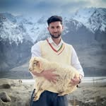 sheraz_mancho profile picture