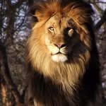 sheri72677 profile picture