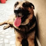 sheru24aug profile picture