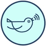 shes_birdie profile picture