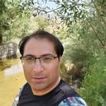 shho64 profile picture