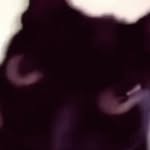 shibu_red profile picture