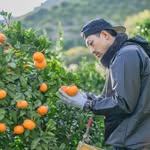 shigehisa_narukawa profile picture