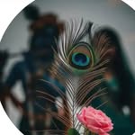 shilpadevi20662024 profile picture