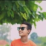 shimulbiseas profile picture
