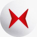 shineraydobrasil profile picture