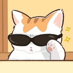 shipra._.dz profile picture