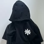 shipskylark profile picture
