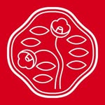 shiseido profile picture