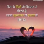 shiv.ani14242 profile picture