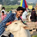 shivam_toxic_boy profile picture